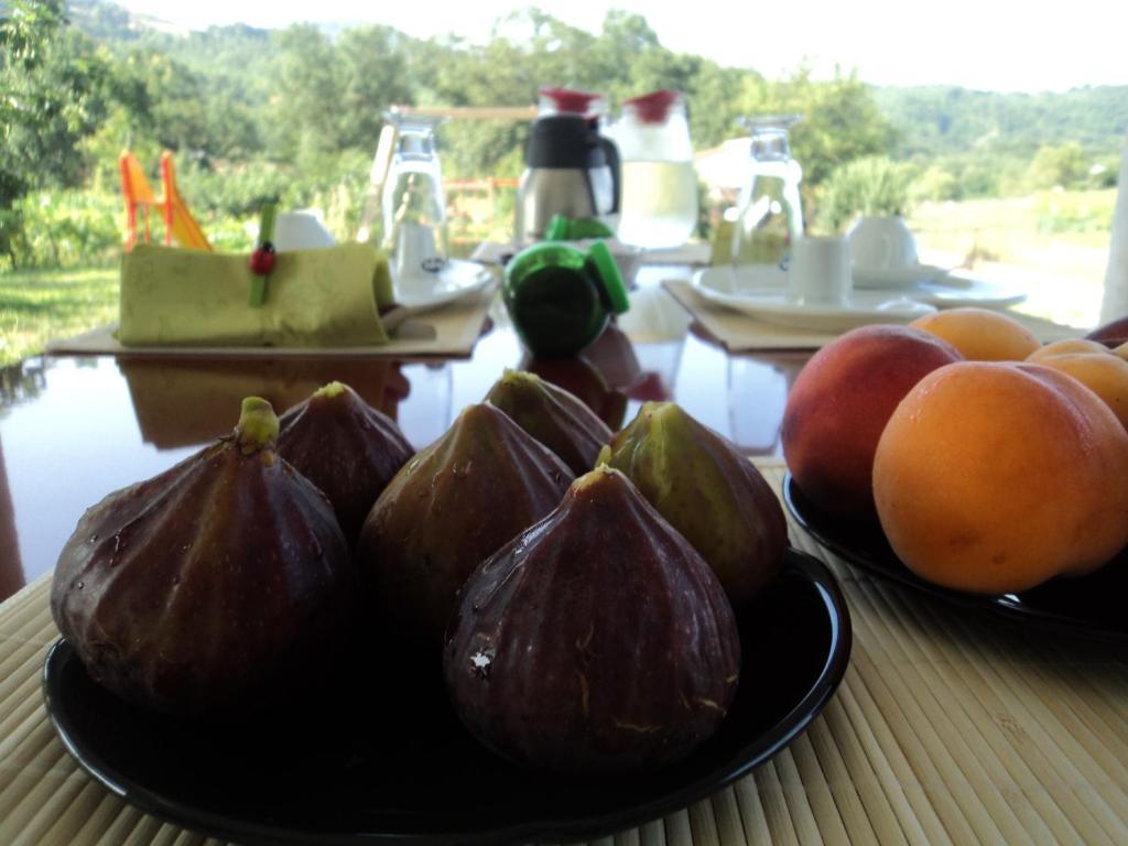 San Gregorio Magno B&B Casa Vacanza Verzellino المظهر الخارجي الصورة